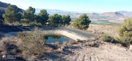 Terreno, pantano, almacén-caseta(La Escarihuela) photo 0