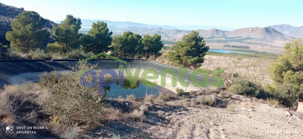 Terreno, pantano, almacén-caseta(La Escarihuela) photo 0