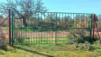 Terreno en venta en Mesa de Cantaelgallo Jaraicejo (Cáceres) photo 0