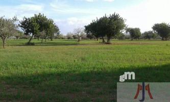 Terreno Urbanizable En venta en Son Ferriol, Palma De Mallorca photo 0