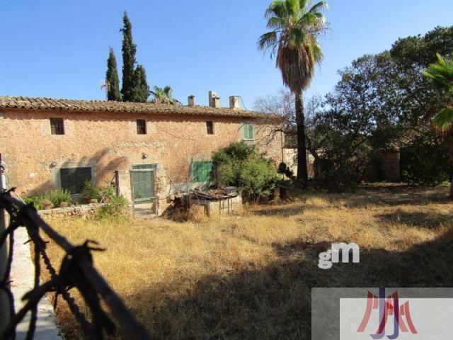 Terreno Urbanizable En venta en Portol, Palma De Mallorca photo 0