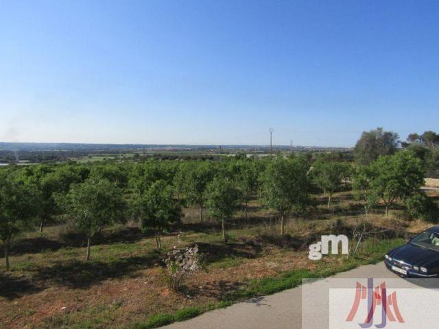 Terreno Urbanizable En venta en Son Peladi, Palma De Mallorca photo 0