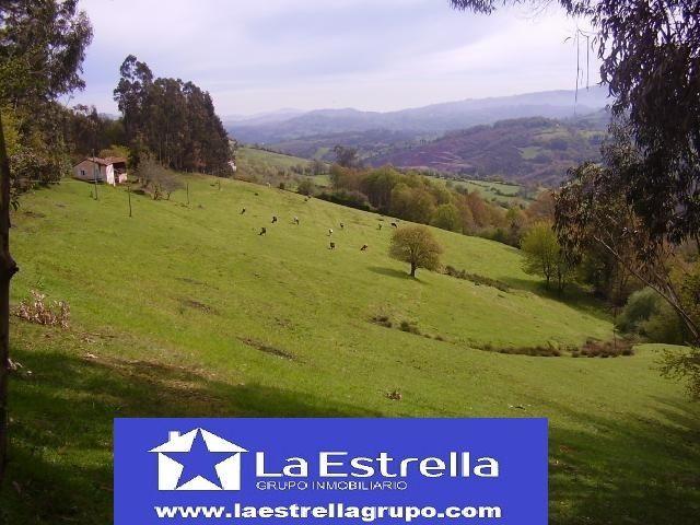 Casa con hórreo y finca de 90.000 metros a 4 kms. de Grado photo 0
