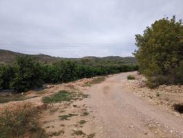 Terreno rústico en venta photo 0