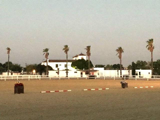 Finca Ecuestre con Proyecto Hotelero. photo 0