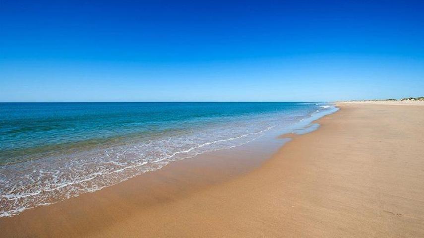 PRIMERA LINEA DE PLAYA EN ISLA CANELA photo 0