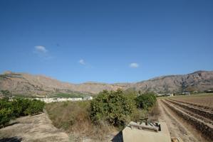 Parcela rústica de 5600 m2. de superficie en el Raiguero de Bonanza photo 0