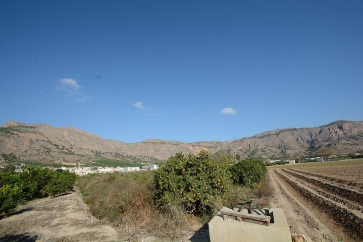 Parcela rústica de 5600 m2. de superficie en el Raiguero de Bonanza photo 0