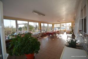 Chalet en Crevillente con 16.294 m2. en dos parcelas. Piscina propia. photo 0