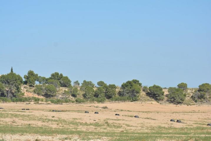 ¡¡ GRAN BAJADA DE PRECIO !! Finca rústica de 20,7 Ha. en Murcia en la pedanía de Gea y Truyols. Gran bajada de precio. photo 0