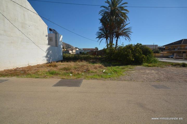 ¡¡ EXCELENTE OPORTUNIDAD !! Solar rústico en Orihuela zona Ctra. de Beniel, 969 m2. de superficie con casa habitación. photo 0