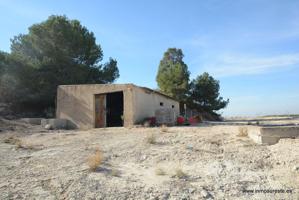 !! GRAN OPORTUNIDAD !! Estupenda finca rústica en la Dehesa de Pinohermoso de unos 115.000 m2. de superficie, con balsa para riego. photo 0