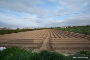 Parcela de terreno rústico en la pedanía de Molins. Terreno de 2.219 m2. de superficie. photo 0