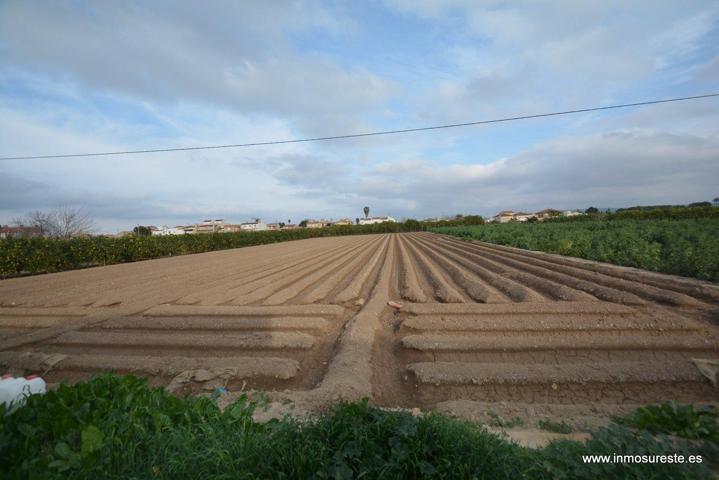 Parcela de terreno rústico en la pedanía de Molins. Terreno de 2.219 m2. de superficie. photo 0