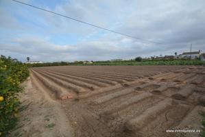 ¡¡ GRAN OPORTUNIDAD !! Parcela de terreno rústico en la pedanía de Molins. Terreno de 2.219 m2. de superficie. photo 0