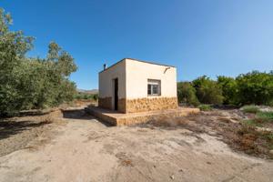 Terreno con Cortijo en Alsodux photo 0
