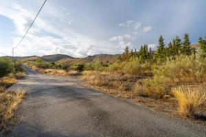 Finca rústica con superficie de 12.233 m2, Pje. UMBRIAS, SENES, ALMERÍA photo 0