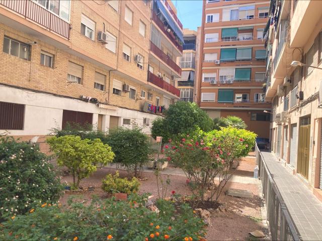 ¡¡¡ AMPLIA VIVIENDA A POCOS METROS DEL BOULEVARD DEL PLA !!! photo 0