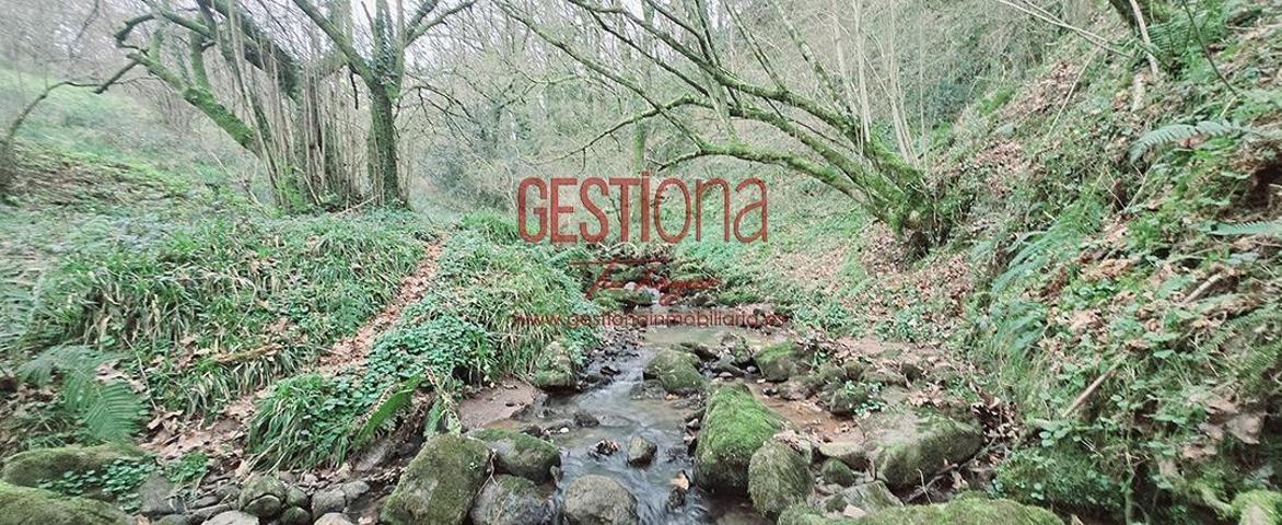 CABAÑA CON ARROYO, PROYECTO Y CAMBIO DE USO EN LLANOS. PENAGOS photo 0