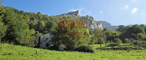 CABAÑA EN EL CORAZÓN DEL VALLE DEL MIERA. LINTO photo 0