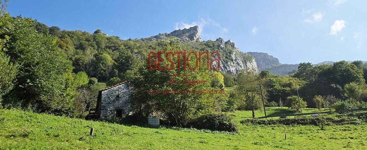 CABAÑA EN EL CORAZÓN DEL VALLE DEL MIERA. LINTO photo 0