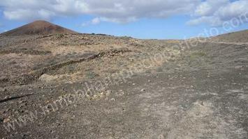Venta Parcela-Finca - Guatiza, Teguise, Las Palmas, Lanzarote photo 0