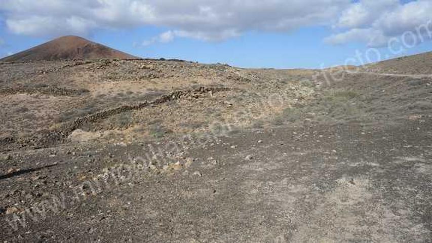 Venta Parcela-Finca - Guatiza, Teguise, Las Palmas, Lanzarote photo 0