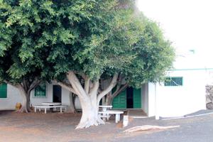 BODEGA EN VENTA photo 0