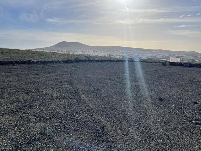 SE VENDE PARCELA RÚSTICA CON LICENCIA PARA CUARTO DE APEROS Y ALJIBE photo 0