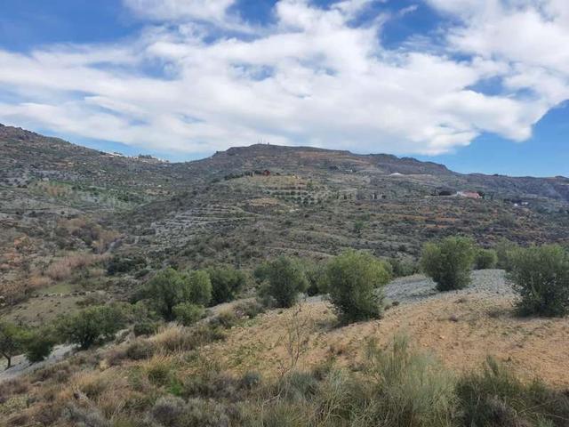 Venta - Felix, Almería photo 0