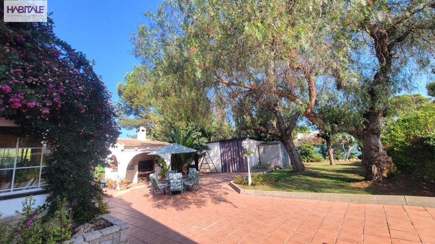 EL CICLO DE LA VIDA photo 0