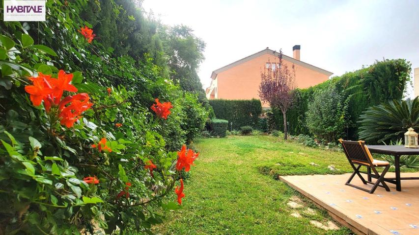 EMPEZAMOS DE NUEVO? photo 0