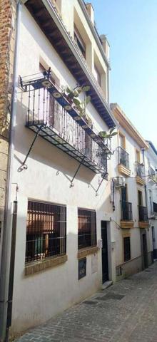 Coqueto photo 0