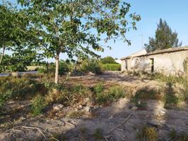 Parcela de venta en Catral photo 0