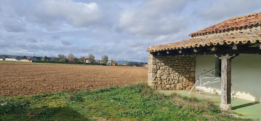 FINCA RUSTICA DE REGADÍO EN CUBILLAS DE SANTA MARTA (VALLADOLID) photo 0