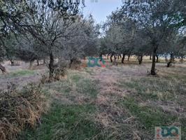 Terreno Urbanizable En venta en Carretera Aliseda, Alburquerque photo 0