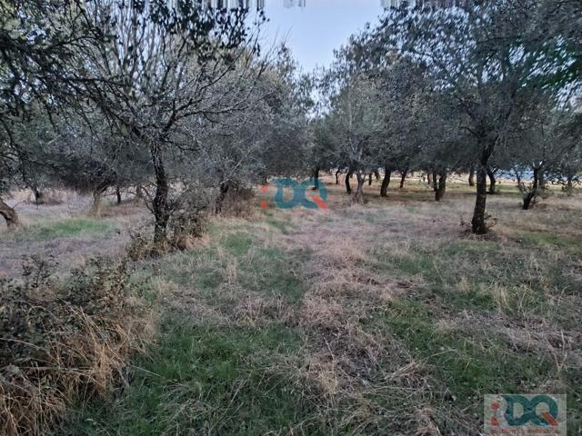 Terreno Urbanizable En venta en Carretera Aliseda, Alburquerque photo 0