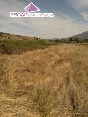 Se venden parcelas en zona de recreo photo 0