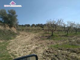 Se vende finca de 19000 m2 con pozo de agua photo 0