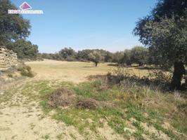 Se vende finca rústica 1.7 hectareas en Castillazuelo photo 0