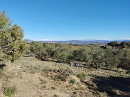 Finca rústica de 2.6 Hectareas en Barbastro photo 0