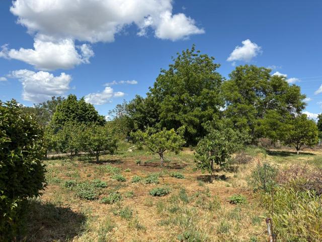 Se vende Parcela para huerta finca de recreo cercana a Barbastro photo 0