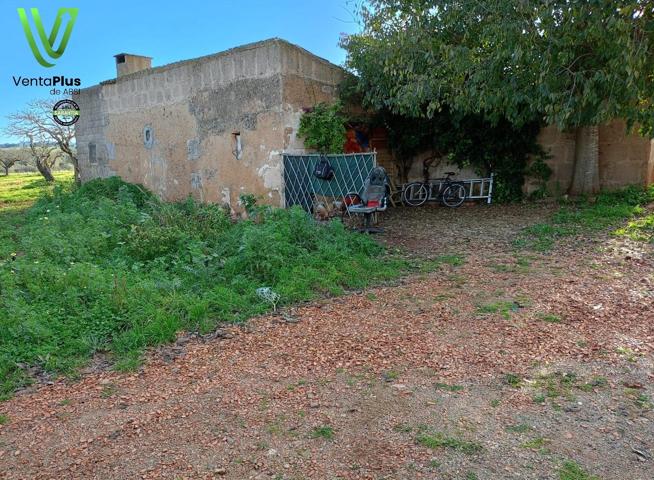 Casa rural con amplia extensión de terreno. photo 0