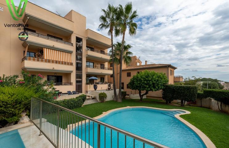 Tu refugio de tres habitaciones en Mallorca photo 0