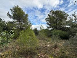 Solar urbanizable en Es Garrovers, sin posibilidad de segregación photo 0