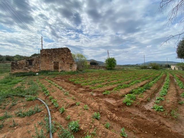 Finca a rehabilitar con agua y luz en entorno idílico photo 0