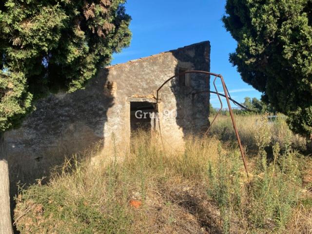 Finca con caseta de campo muy cerca del pueblo photo 0