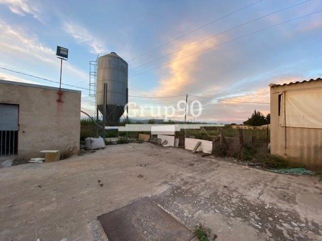 Granja para explotación de cerdos en Santa Bárbara photo 0