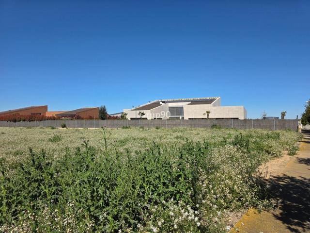 TERRENO EN LA URBANIZACION BUENOS AIRES ALPICAT, LLEIDA photo 0