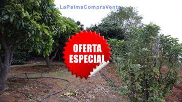 Suelo rústico en Venta en Puntallana Santa Cruz de Tenerife photo 0